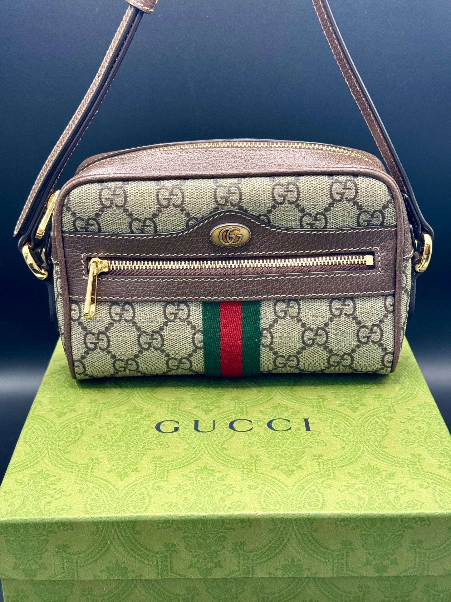 Gucci Ophidia Mini Bag