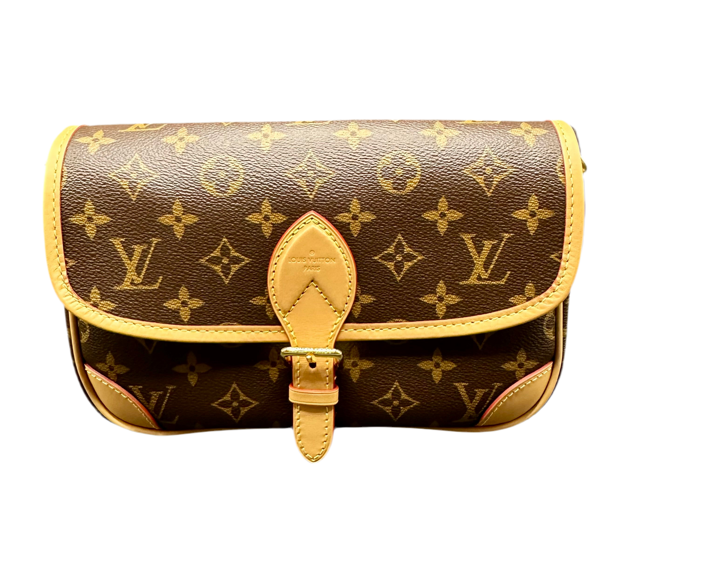 Louis Vuitton Diane M45985 – Monogram Canvas Crossbody Bag