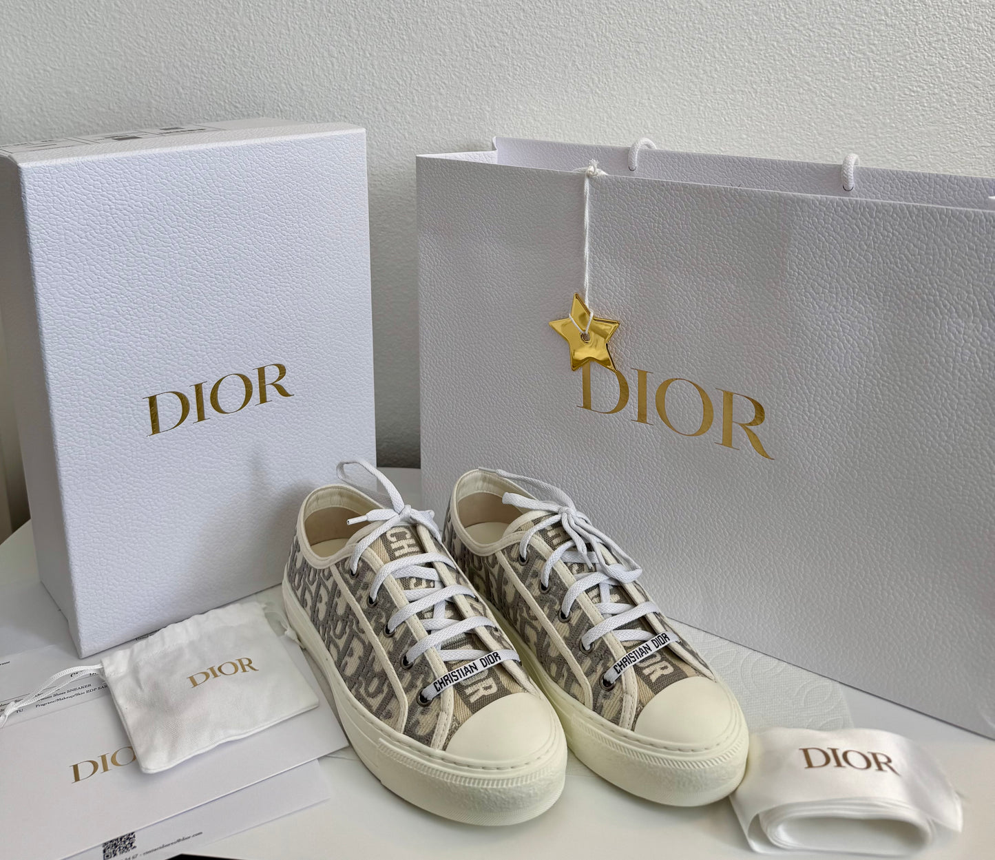 Walk'n'Dior Sneaker - Stone Gray Dior Oblique Embroidered Cotton