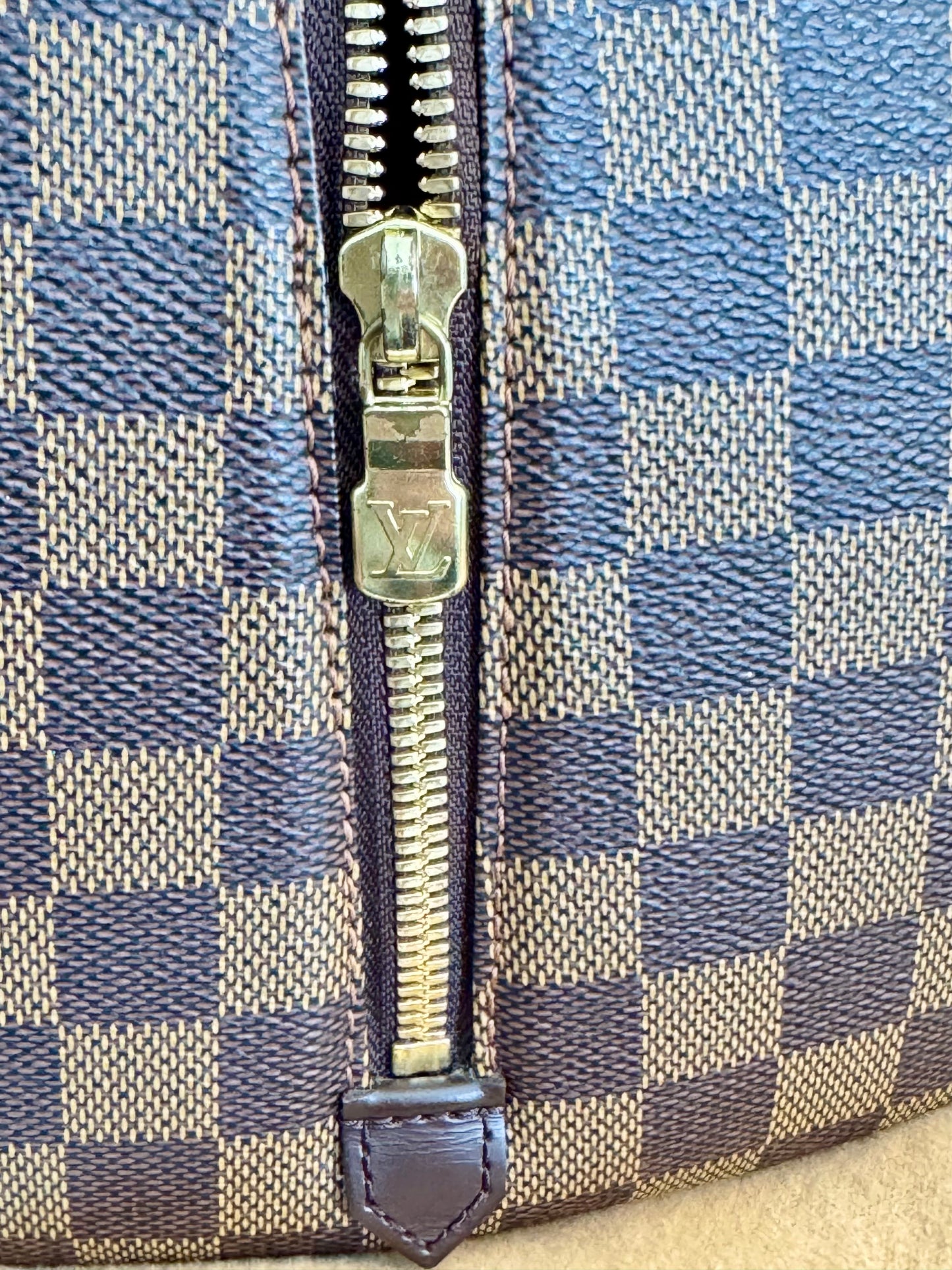 Louis Vuitton Riviera Brown Canvas Handbag